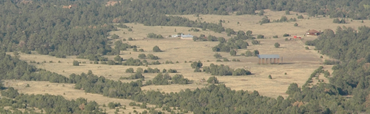 meadow after restoration