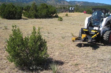 Bobcat S330 with hydraulic shear attachment