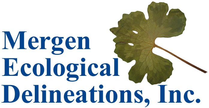 Mergen Ecological Delineations, Inc., bloodroot (Sanguinaria canadensis SACA13) collection no. 09D021B