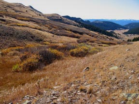 alpine wetlands