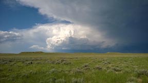 sagebrush steppe